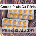 Grosse Pilule De Pénis levitra2
